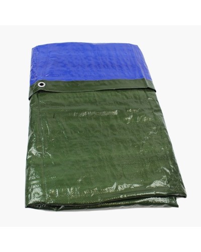 Платнище Lacuna