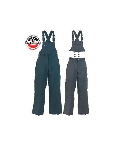 Полугащеризон SNOW